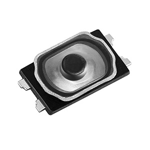 D2-A2616-x-S21